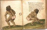Игроки в тлачтли. 1529г